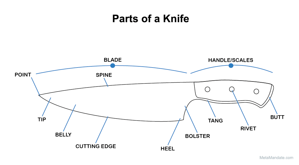 Parts of a knife labeled.