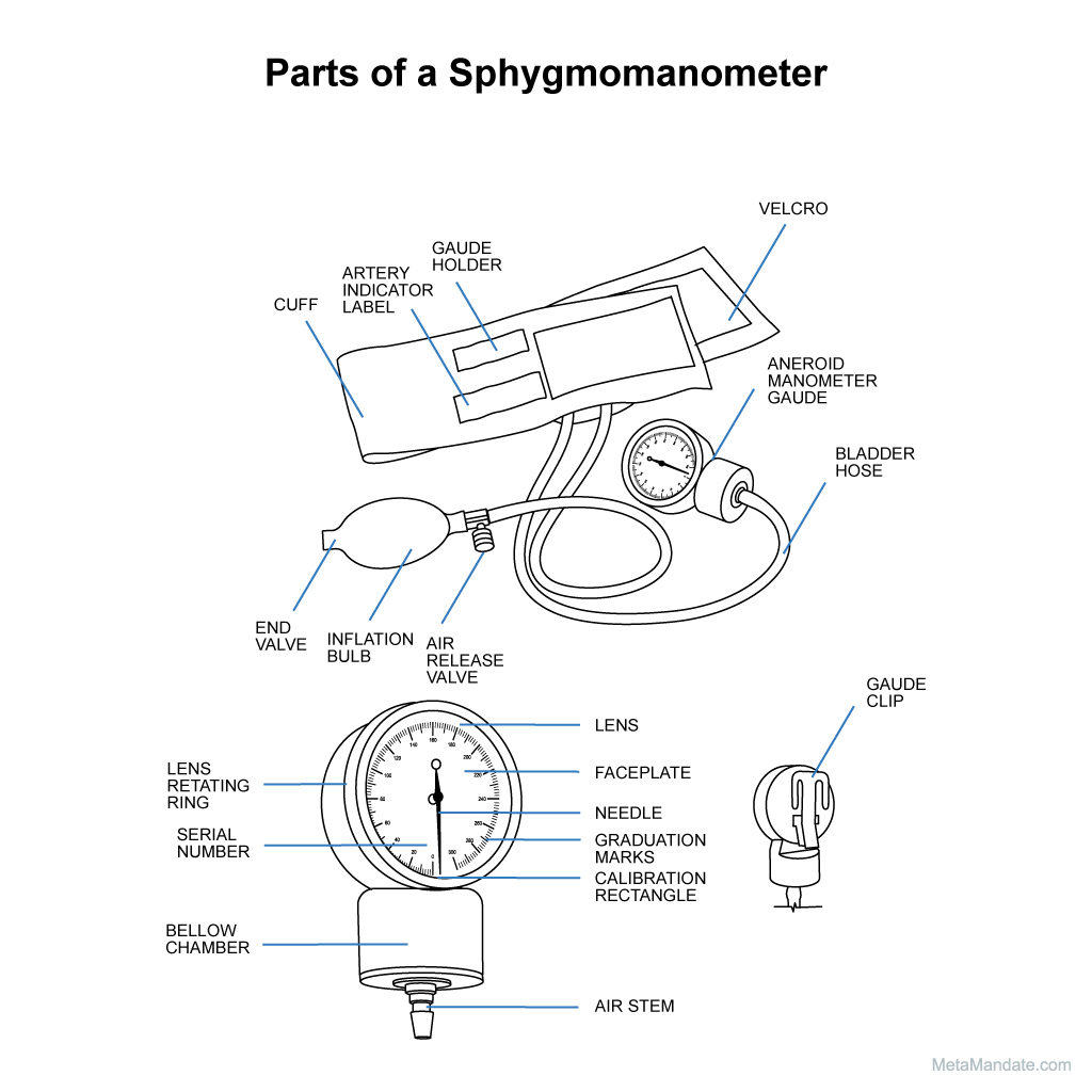 Parts of a sphygmomanometer.
