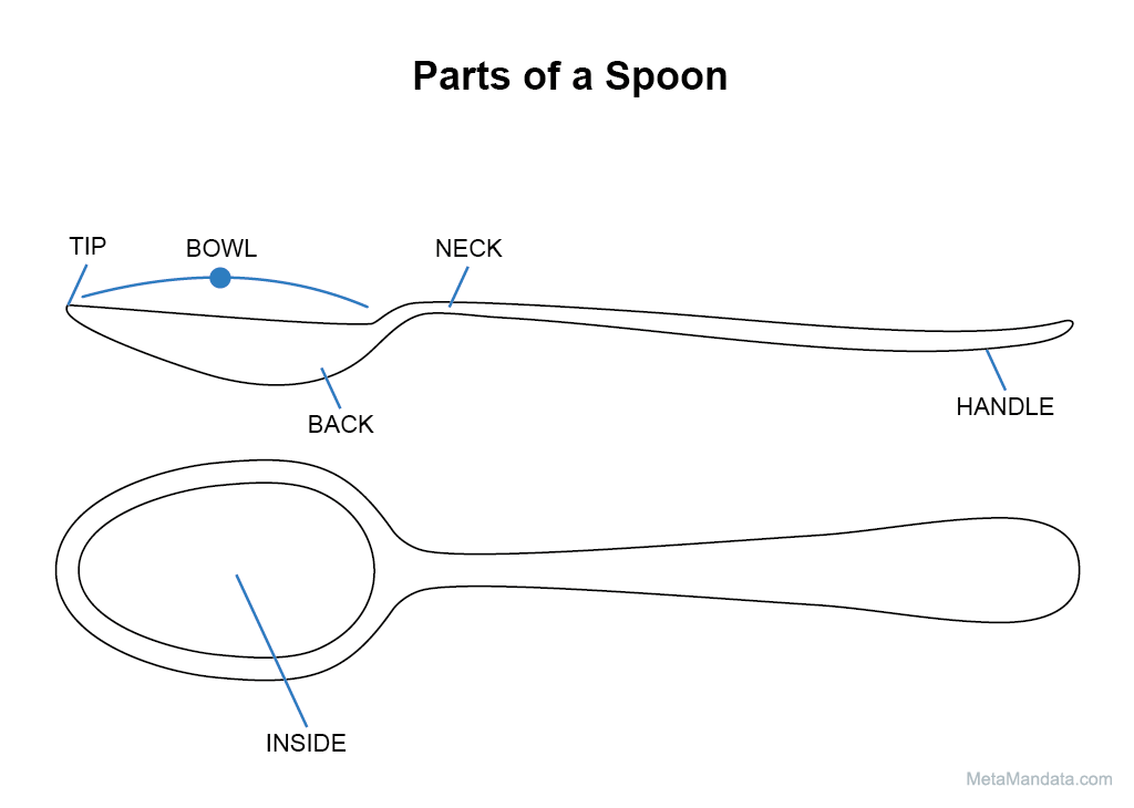 Parts of a spoon labeled.